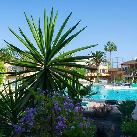 Pool View & Terrace Apartments